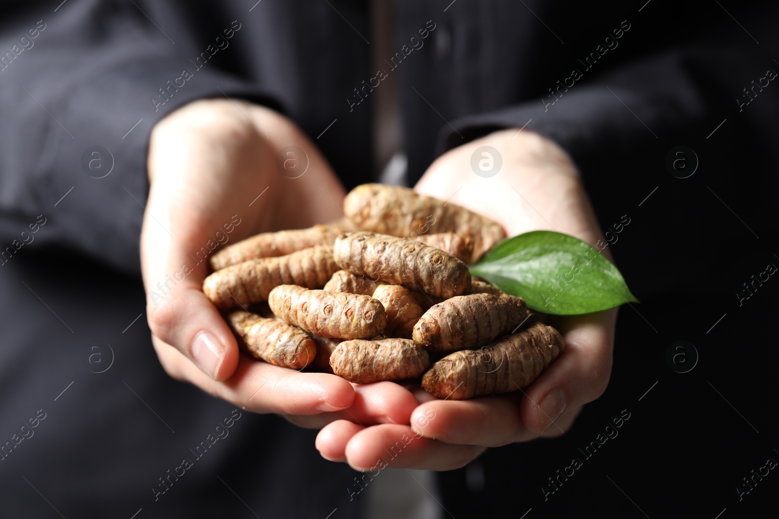 Photo of Woman holding raw turmeric roots, closeup view