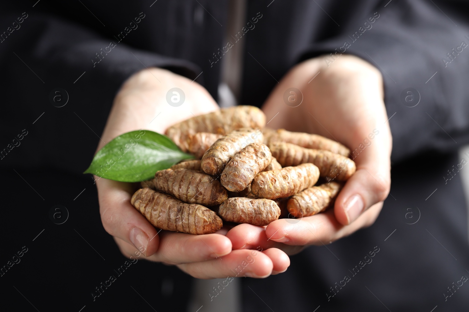 Photo of Woman holding raw turmeric roots, closeup view