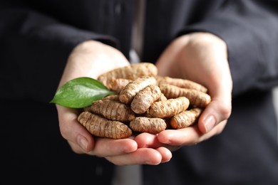 Photo of Woman holding raw turmeric roots, closeup view