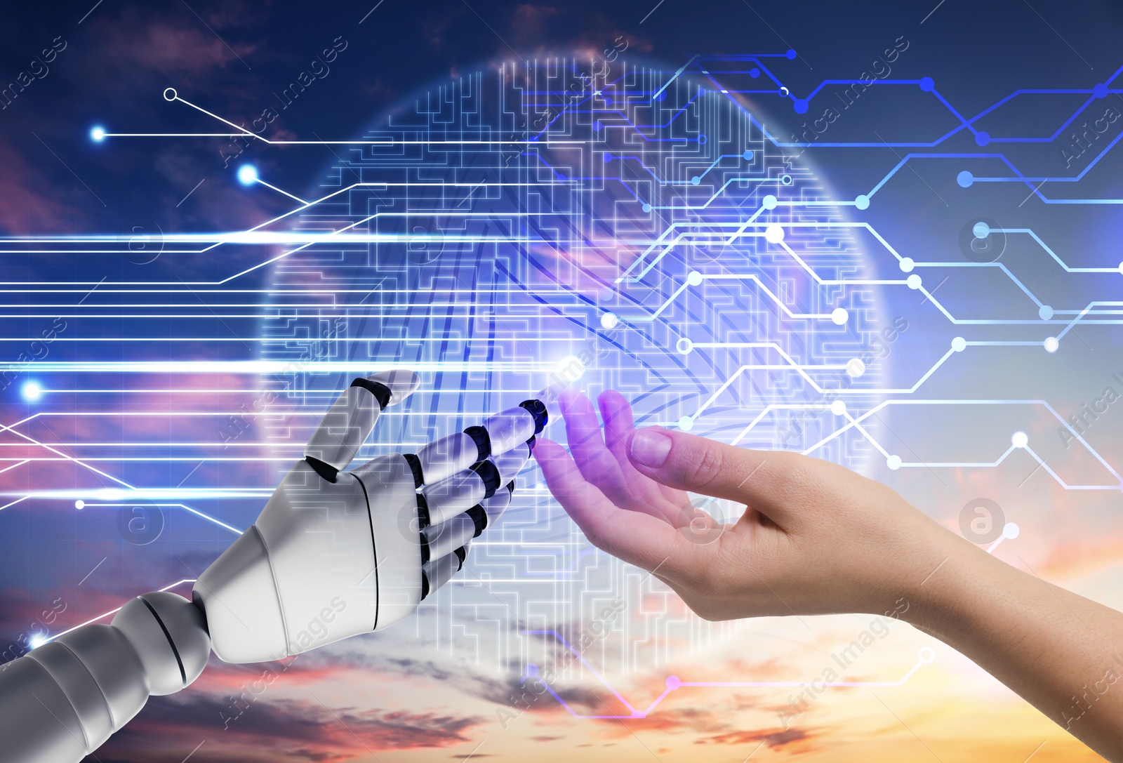 Image of Woman and robot touching data network against sunset sky, closeup of hands. Concept of collaboration between AI and human. Modern technology