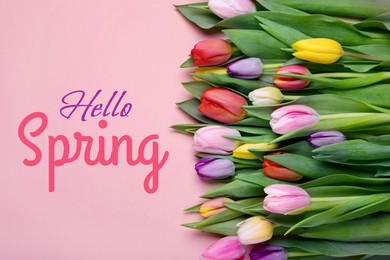 Image of Hello Spring. Beautiful tulips on pink background, top view