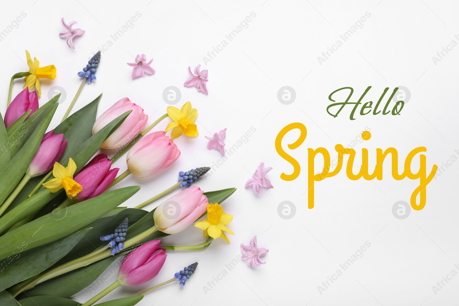 Image of Hello Spring. Beautiful flowers on white background, top view