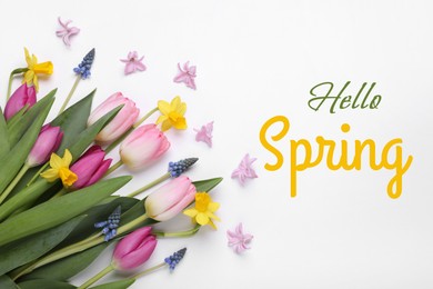 Image of Hello Spring. Beautiful flowers on white background, top view