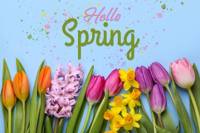 Image of Hello Spring. Beautiful flowers on pastel blue background, top view