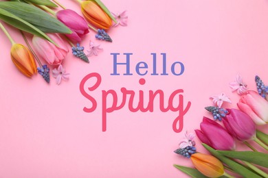 Image of Hello Spring. Beautiful flowers on pink background, top view