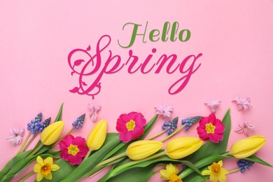 Image of Hello Spring. Beautiful flowers on pink background, top view