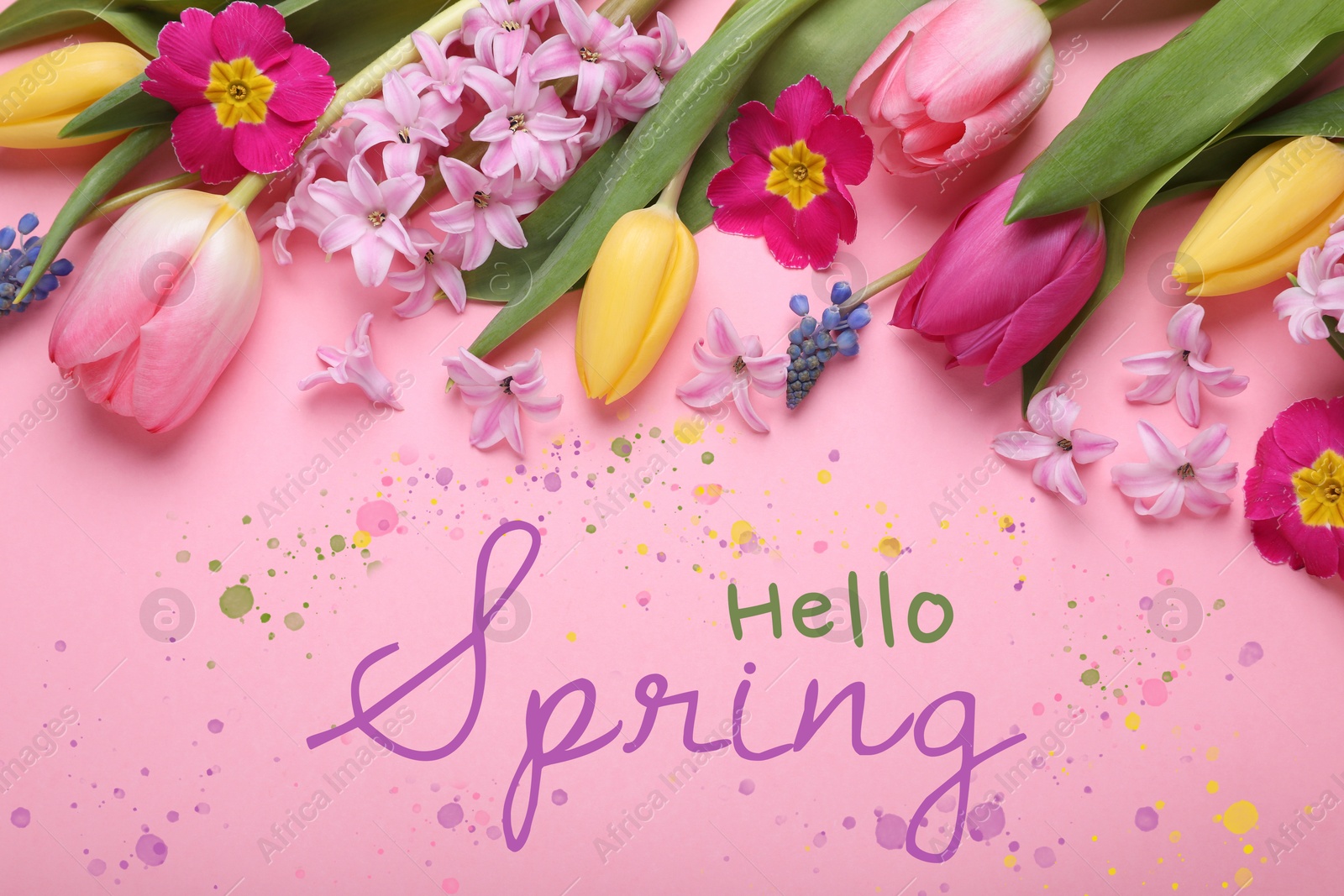 Image of Hello Spring. Beautiful flowers on pink background, top view