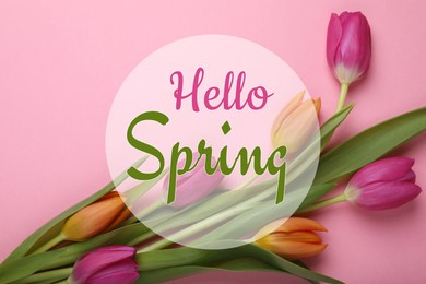 Image of Hello Spring. Beautiful tulips on pink background, top view