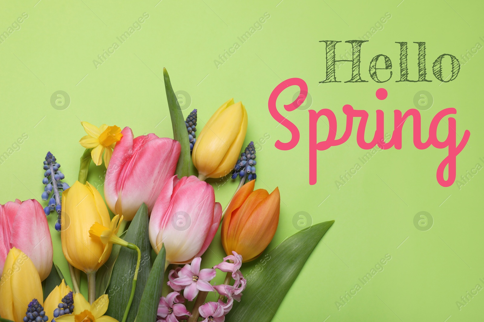 Image of Hello Spring. Bouquet of beautiful flowers on pastel green background, top view