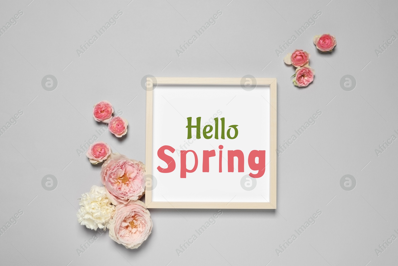 Image of Hello Spring card in frame and beautiful flowers on grey background, flat lay