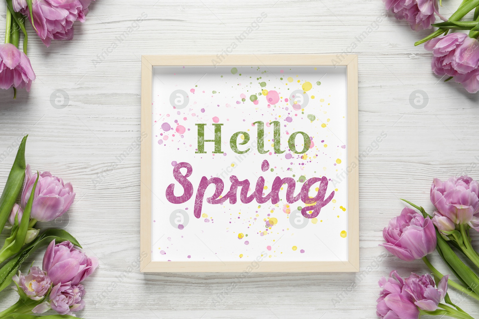 Image of Hello Spring card in frame and beautiful tulips on white wooden background, flat lay