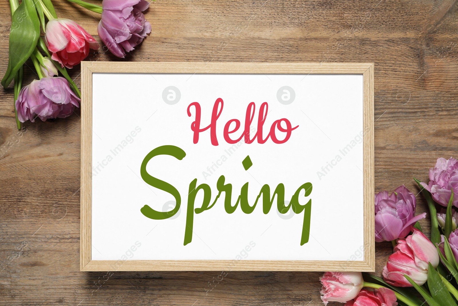 Image of Hello Spring card in frame and beautiful tulips on wooden background, flat lay