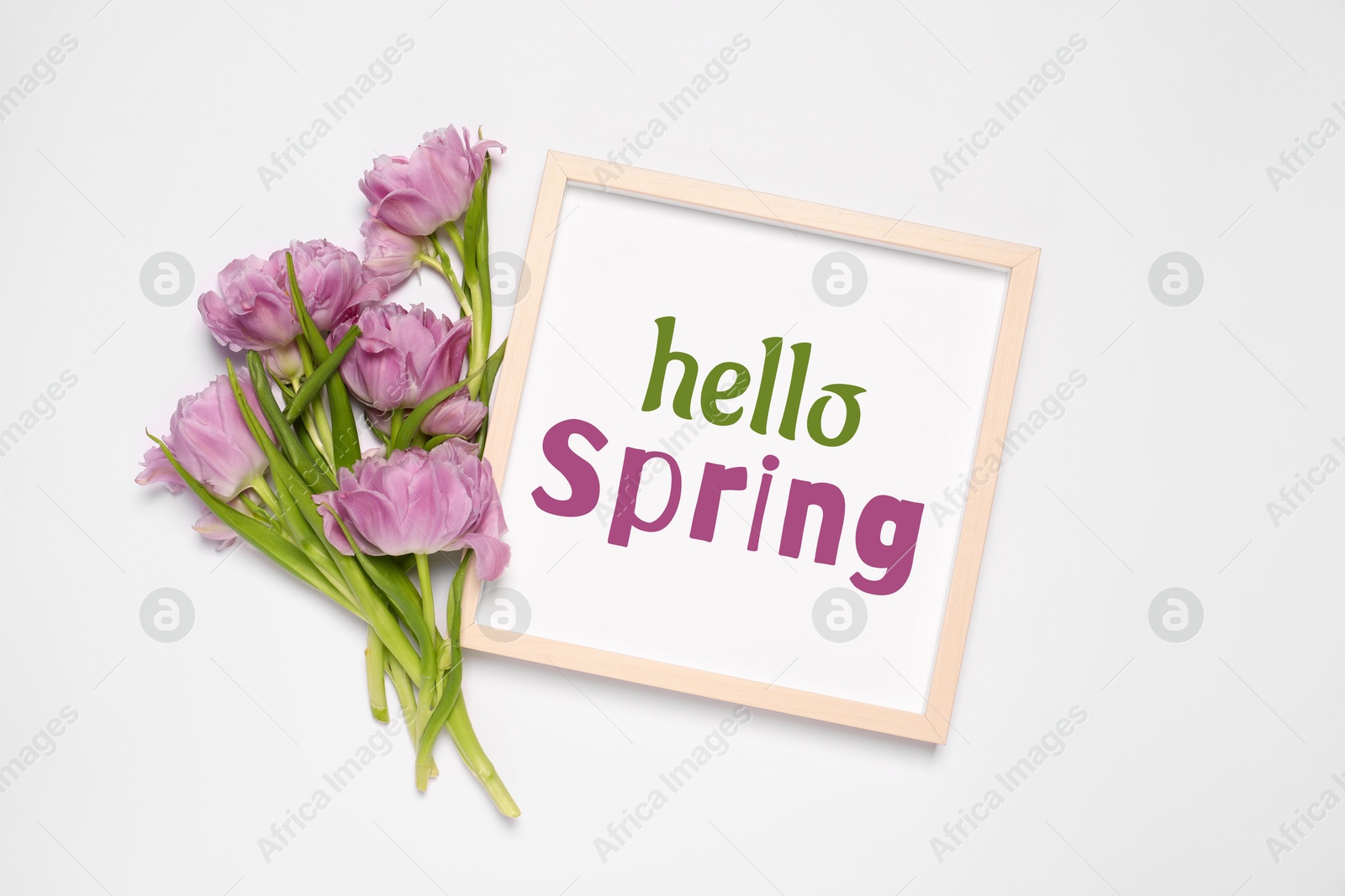 Image of Hello Spring card in frame and beautiful tulips on white background, top view