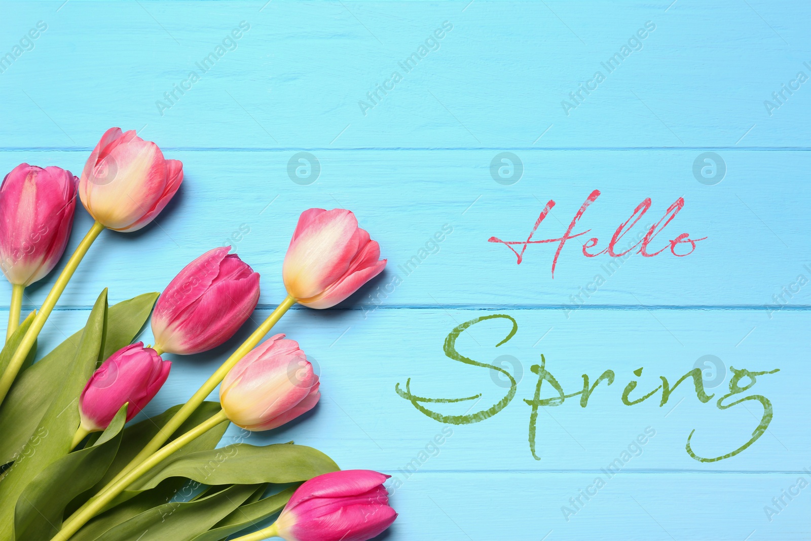 Image of Hello Spring card in frame and beautiful tulips on light blue wooden background, top view