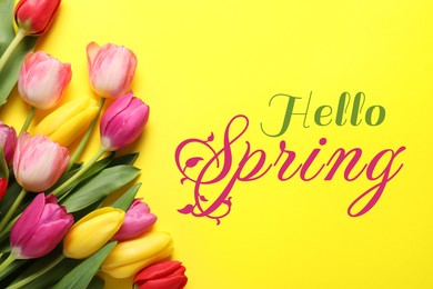 Image of Hello Spring. Beautiful tulips on yellow background, top view