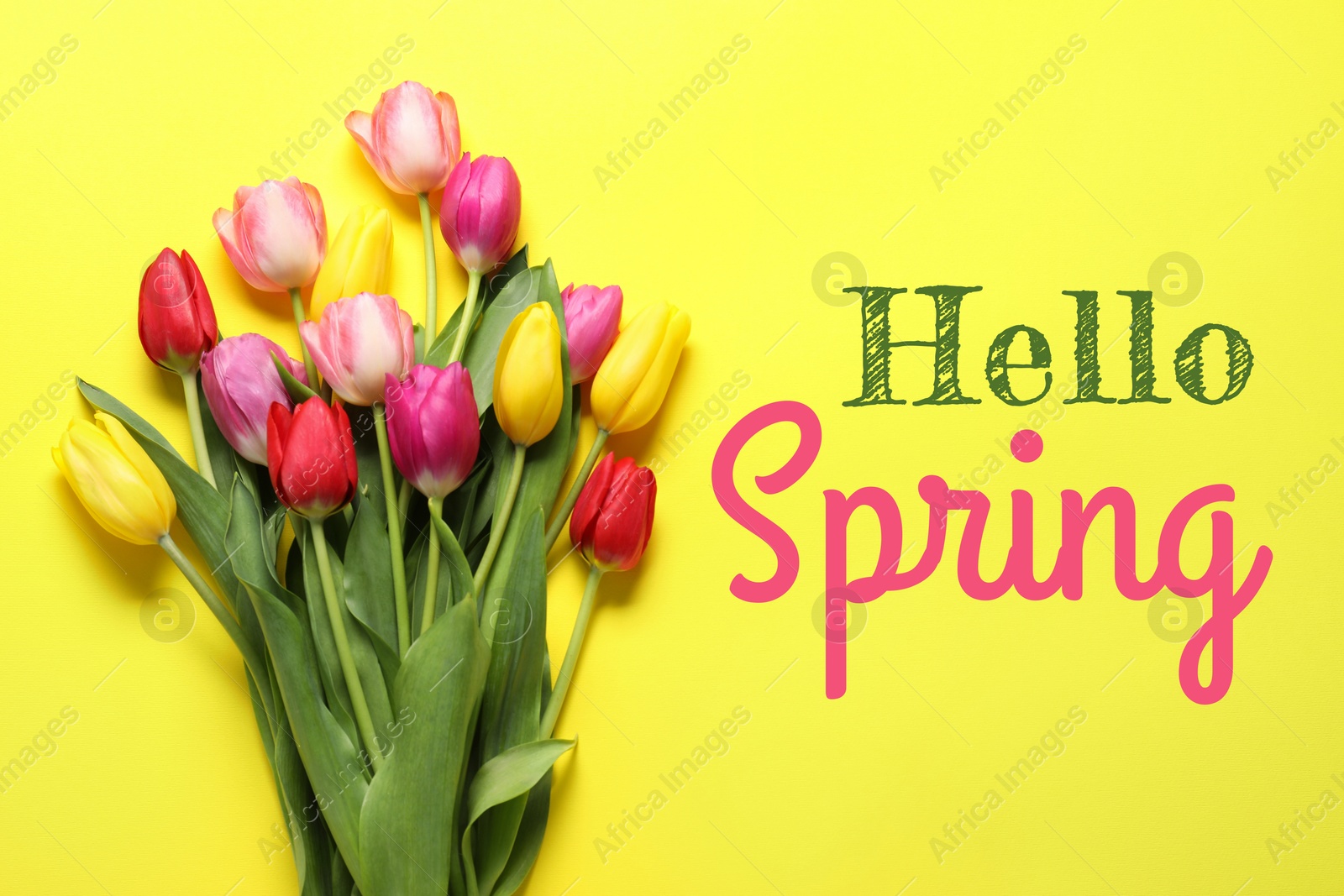 Image of Hello Spring. Bouquet of beautiful tulips on yellow background, top view