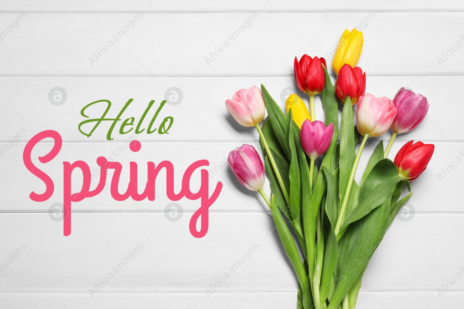 Image of Hello Spring. Bouquet of beautiful tulips on white wooden background, top view