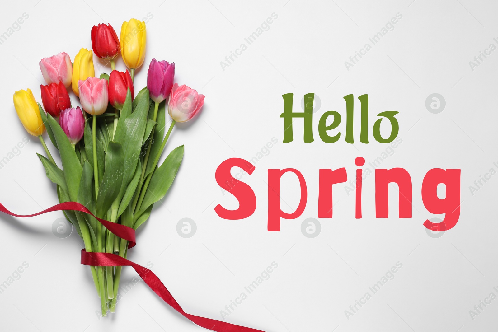 Image of Hello Spring. Bouquet of beautiful tulips on white background, top view