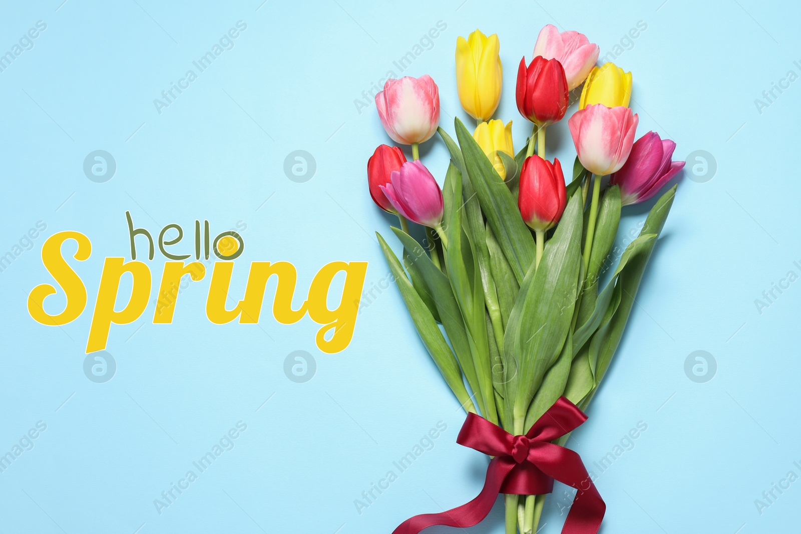 Image of Hello Spring. Bouquet of beautiful tulips on pastel blue background, top view