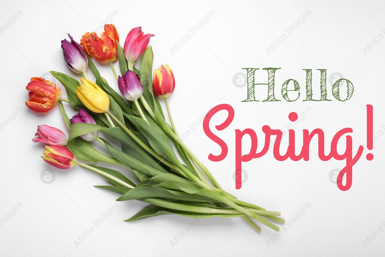 Image of Hello Spring. Bouquet of beautiful tulips on white background, top view