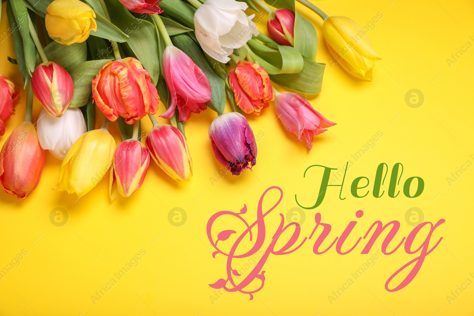 Image of Hello Spring. Bouquet of beautiful tulips on yellow background, top view