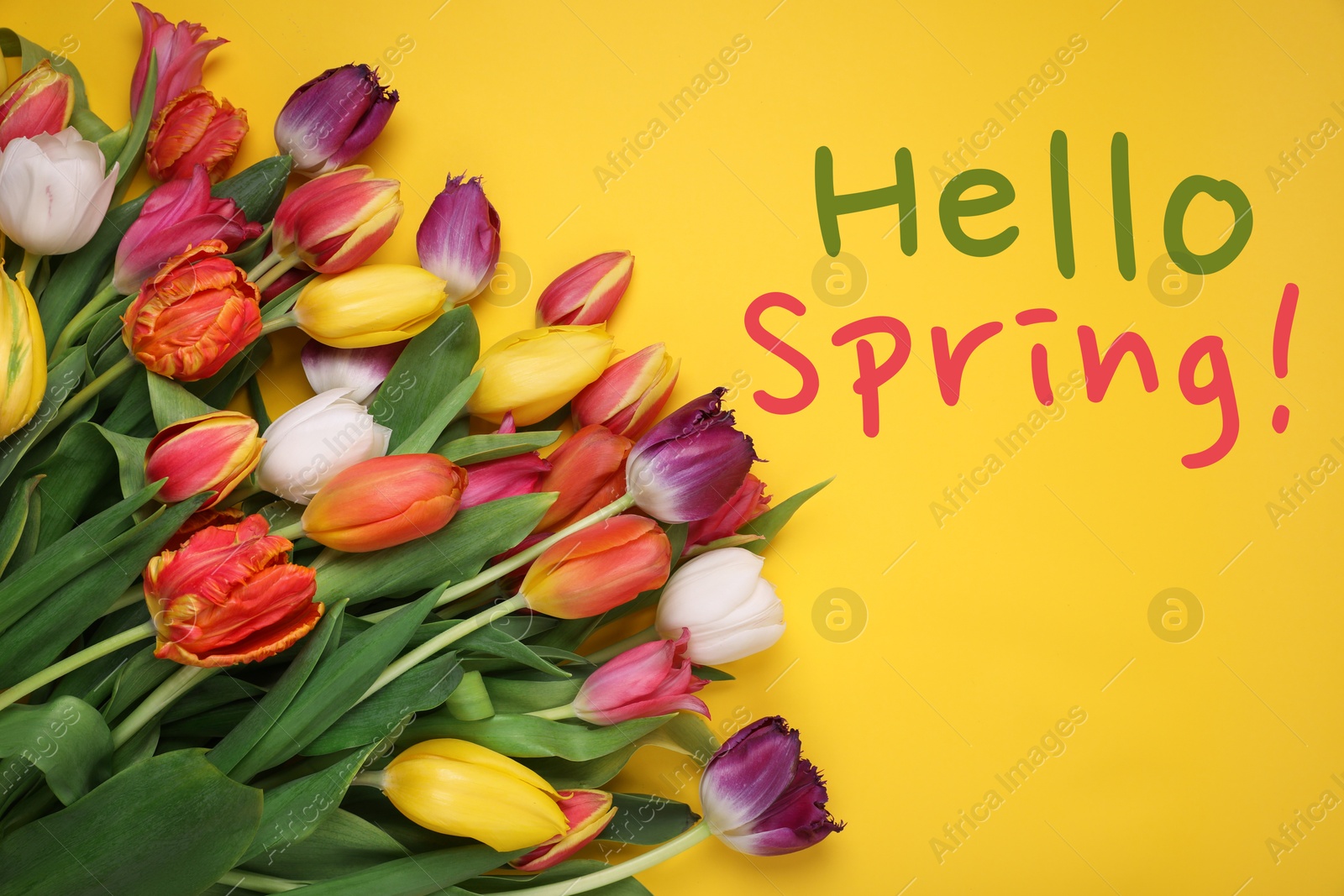 Image of Hello Spring. Bouquet of beautiful tulips on yellow background, top view