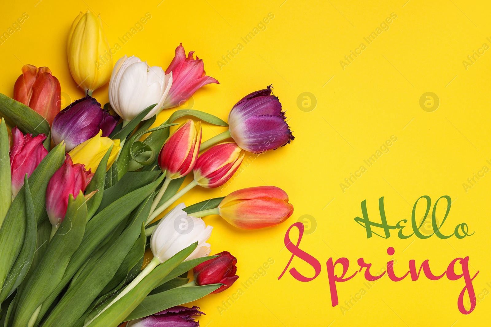 Image of Hello Spring. Bouquet of beautiful tulips on yellow background, top view