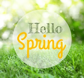 Image of Hello Spring. Vibrant lush green grass on sunny day, bokeh effect