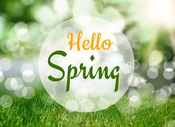 Image of Hello Spring. Vibrant lush green grass on sunny day, bokeh effect