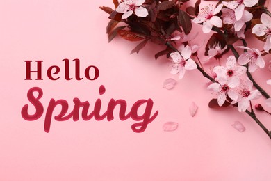 Image of Hello Spring. Tree branch with beautiful blossoms on pink background