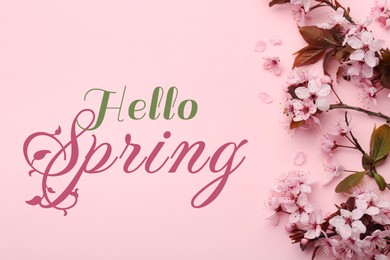 Image of Hello Spring. Tree branch with beautiful blossoms on pink background, top view