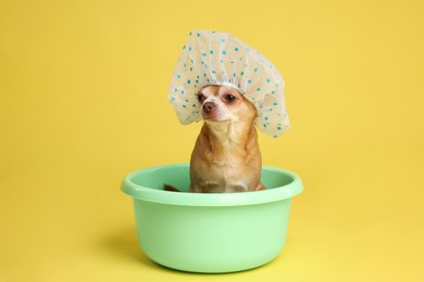 Photo of Cute funny dog with shower cap in basin on yellow background