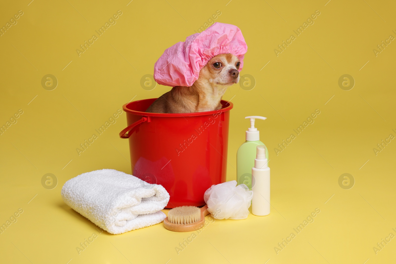 Photo of Cute funny dog with shower cap and different accessories for bathing on yellow background