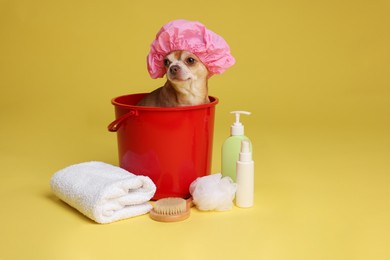 Photo of Cute funny dog with shower cap and different accessories for bathing on yellow background. Space for text