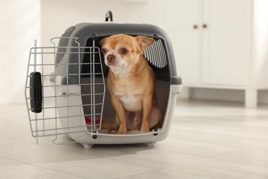 Photo of Adorable dog in pet carrier on floor indoors