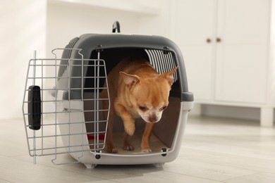 Photo of Adorable dog in pet carrier on floor indoors