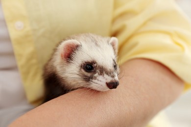 Photo of Woman with cute ferret, closeup. Domestic pet