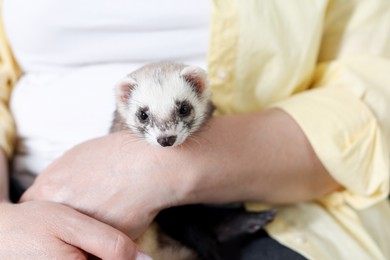 Photo of Woman with cute ferret, closeup. Domestic pet