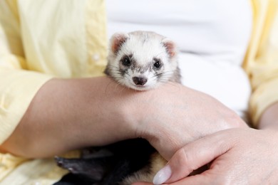 Photo of Woman with cute ferret, closeup. Domestic pet