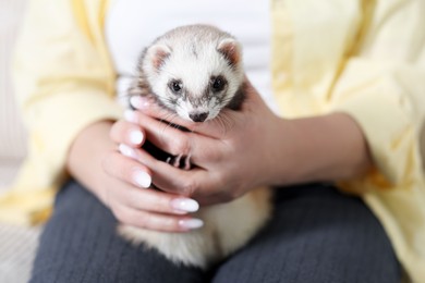 Photo of Woman with cute ferret, closeup. Domestic pet
