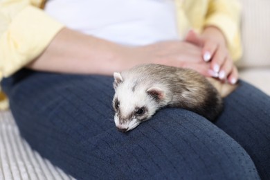 Photo of Woman with cute ferret on sofa, closeup. Domestic pet