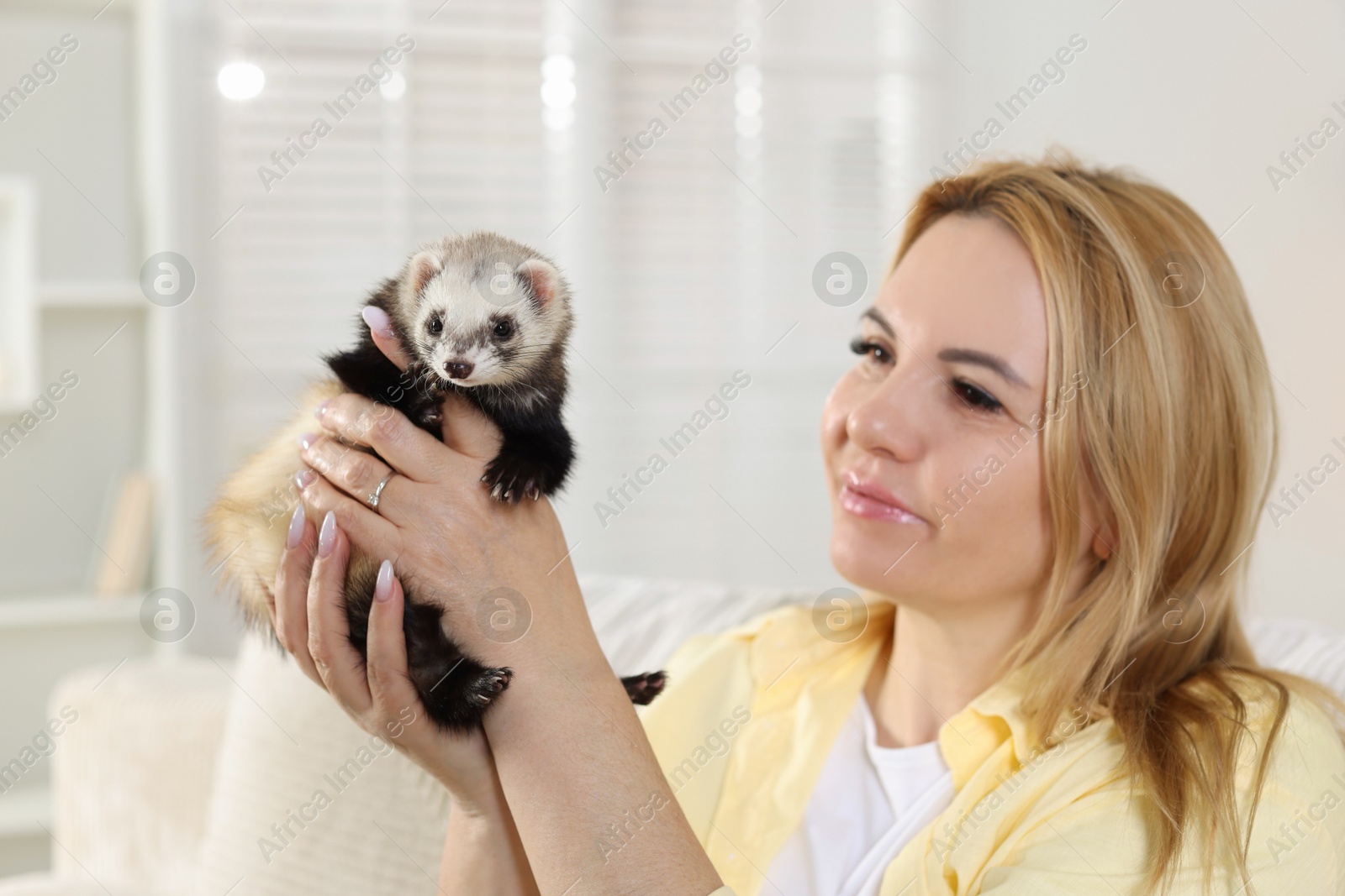 Woman with cute ferret at home. Domestic pet Photo of Woman with cute ferret at home. Domestic pet