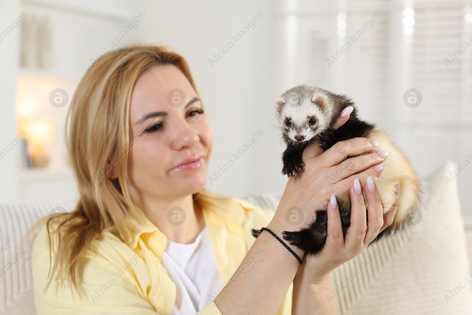 Woman with cute ferret at home. Domestic pet Photo of Woman with cute ferret at home. Domestic pet