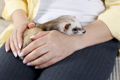 Photo of Woman with cute ferret on sofa, closeup