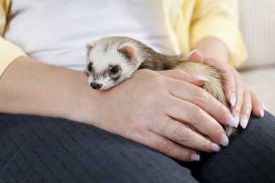 Photo of Woman with cute ferret on sofa, closeup