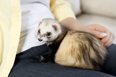 Photo of Woman with cute ferret on sofa, closeup