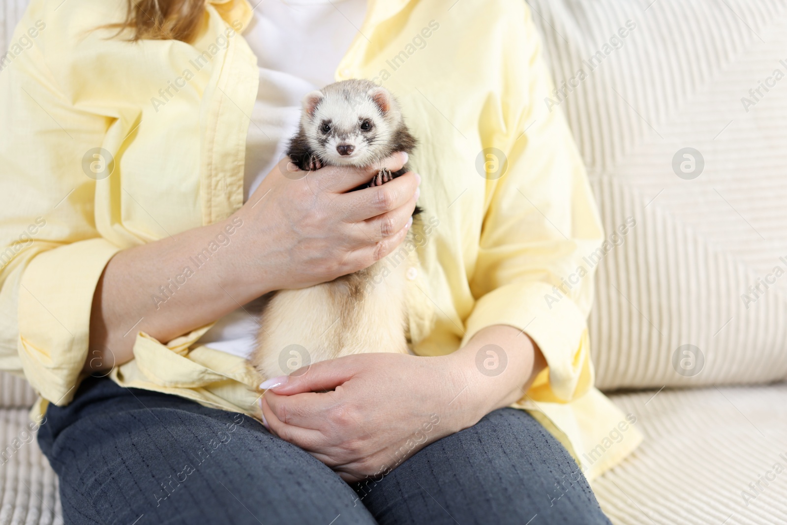 Woman with cute ferret on sofa, closeup Photo of Woman with cute ferret on sofa, closeup