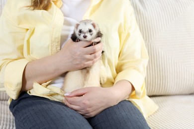 Photo of Woman with cute ferret on sofa, closeup