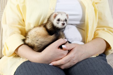 Photo of Woman with cute ferret, closeup. Domestic pet