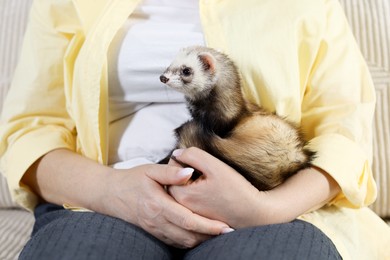 Photo of Woman with cute ferret on sofa, closeup